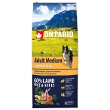 Ontario Dog Adult Medium Lamb & Rice -12